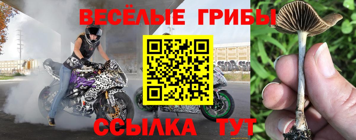 Псилоцибиновые грибы мухоморы Выкса